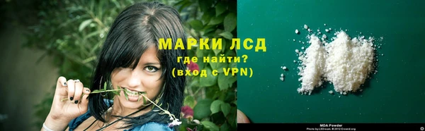 сатива Алзамай
