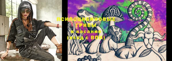 сатива Алзамай