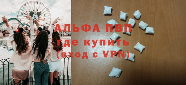 сатива Алзамай