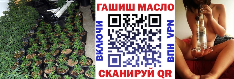 MEGA как зайти  Злынка  Дистиллят ТГК THC oil 
