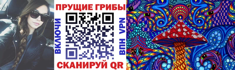 Псилоцибиновые грибы MAGIC MUSHROOMS OMG ТОР Злынка