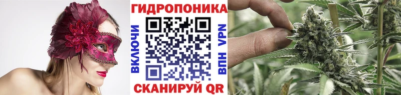 omg ссылка  Злынка  Канабис OG Kush 